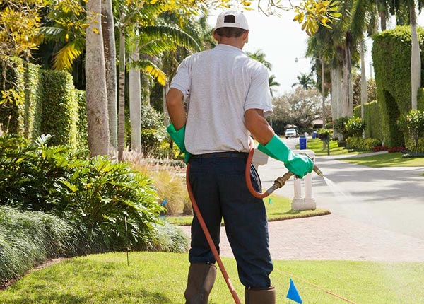 About Adel IA Pest Control Pros